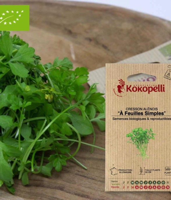 Graines bio à semer -...