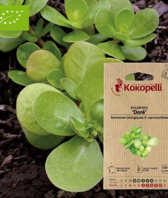 Graines bio à semer -...