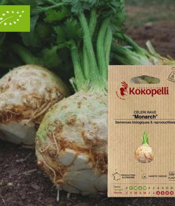 Graines bio à semer -...