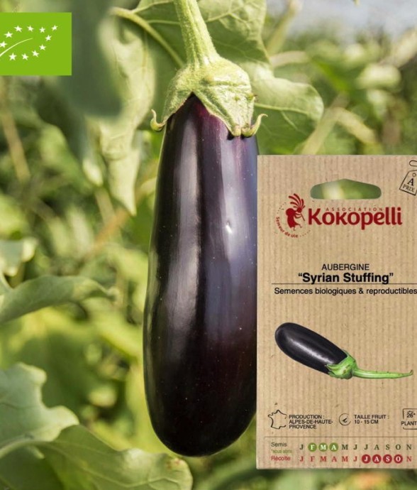 Graines bio à semer -...