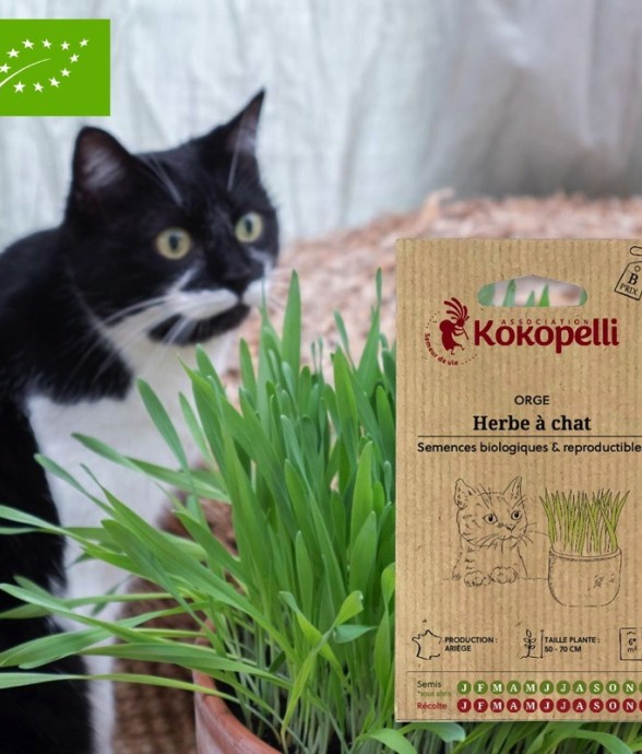 Graines bio à semer - Orge...