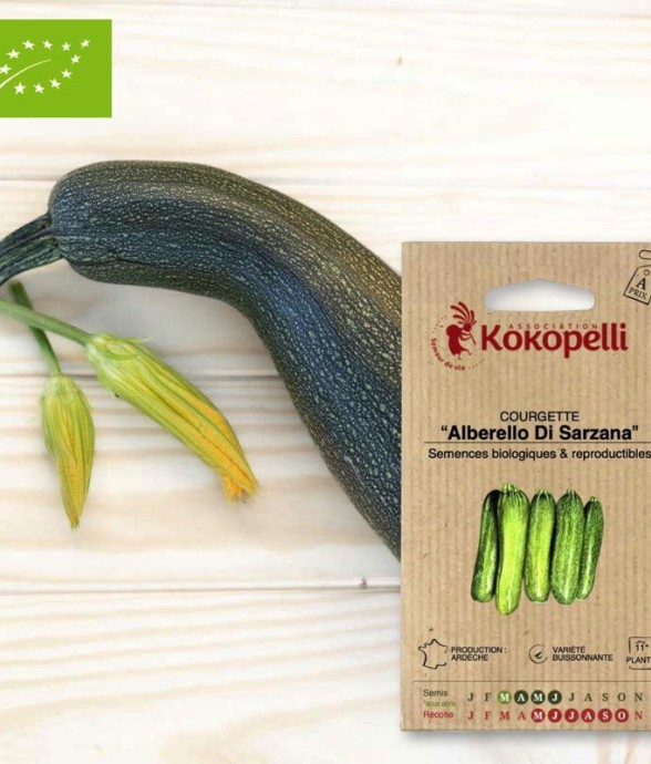 Graines bio à semer -...