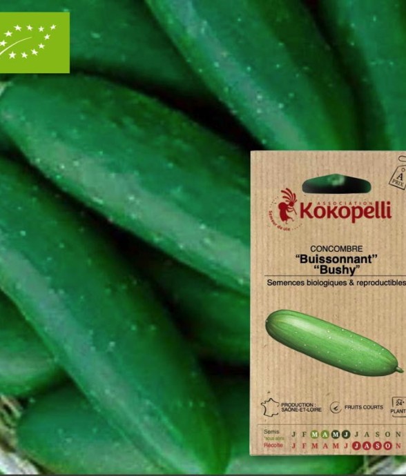 Graines bio à semer -...