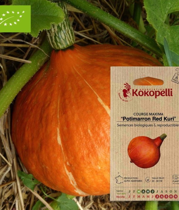 Graines bio à semer -...