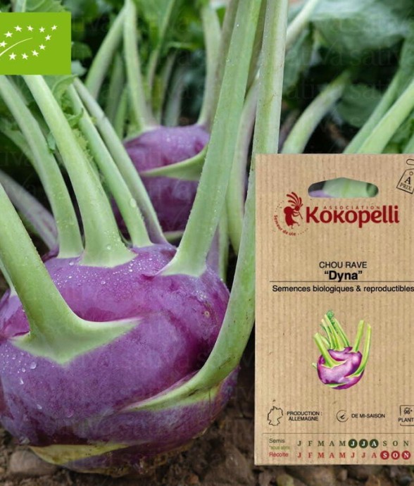 Graines bio à semer - Chou...
