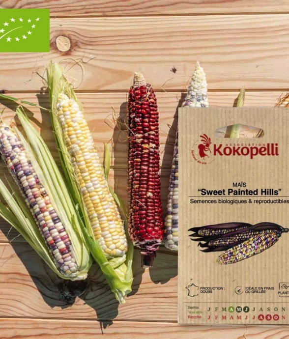 Graines bio à semer - Maïs...