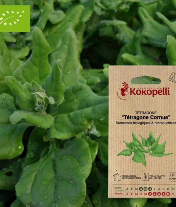 Graines bio à semer -...