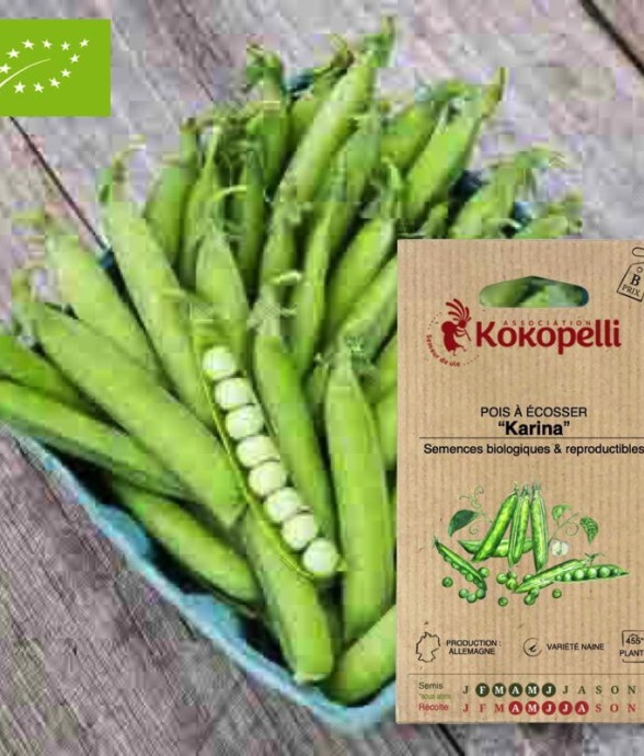 Graines bio à semer - Pois...