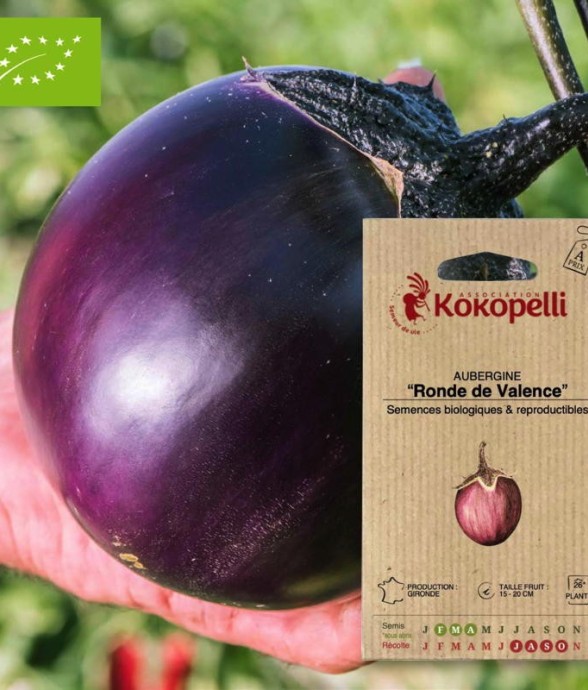 Graines bio à semer -...