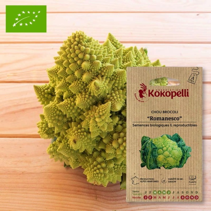 Graines bio à semer - Chou Brocoli Romanesco