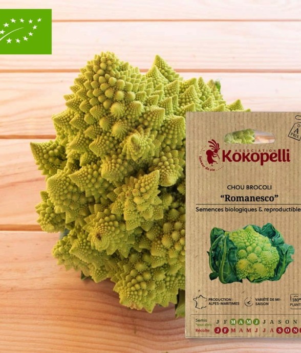 Graines bio à semer - Chou...