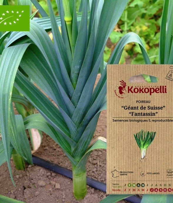 Graines bio à semer -...