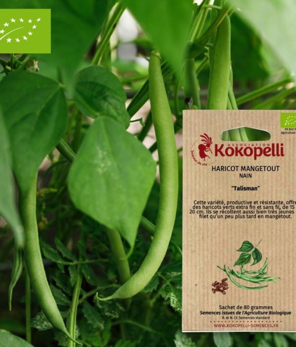 Graines bio à semer -...