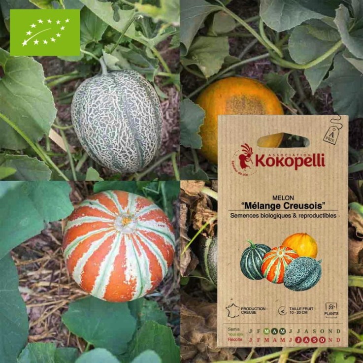 Graines bio à semer - Melon Mélange Creusois