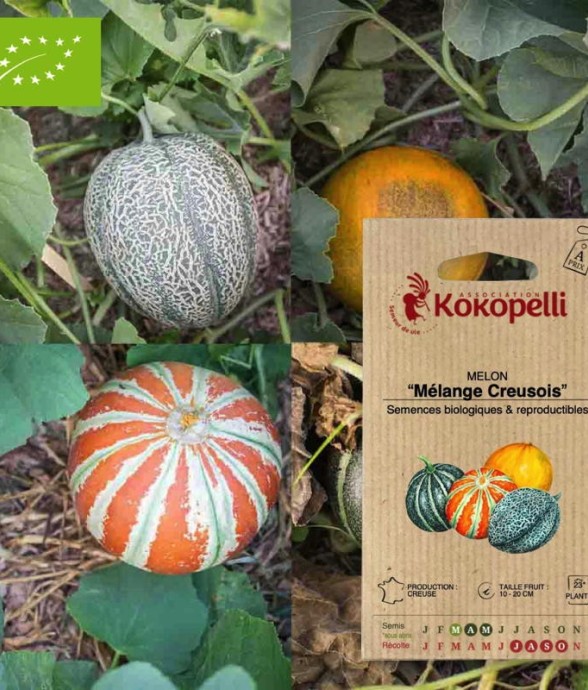 Graines bio à semer - Melon...