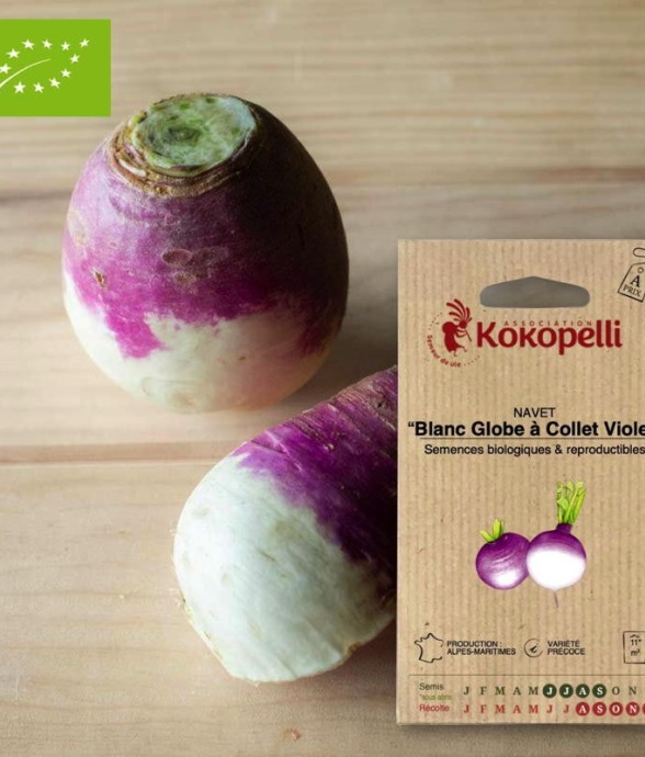 Graines bio à semer - Navet...