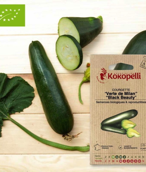 Graines bio à semer -...