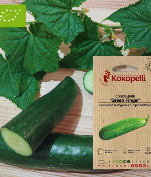 Graines bio à semer -...