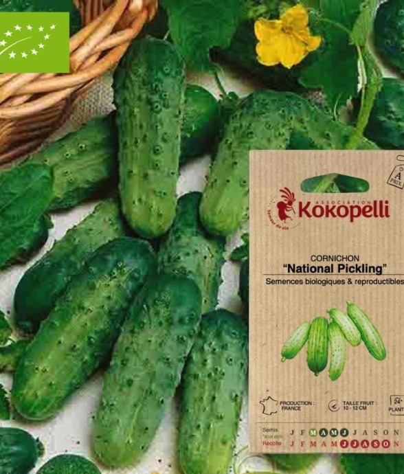 Graines bio à semer -...