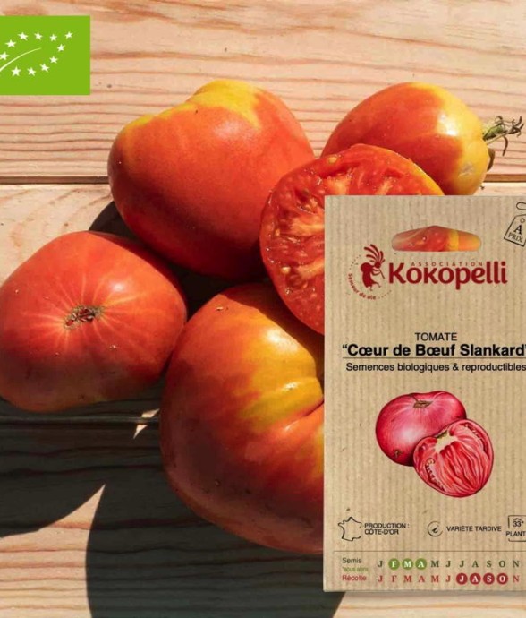 Graines bio à semer -...