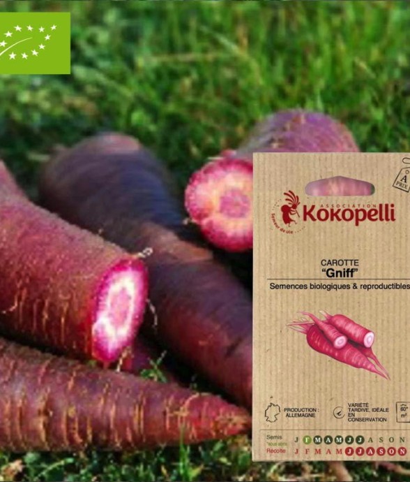 Graines bio à semer -...