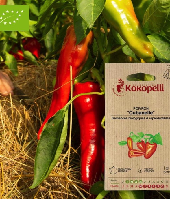 Graines bio à semer -...