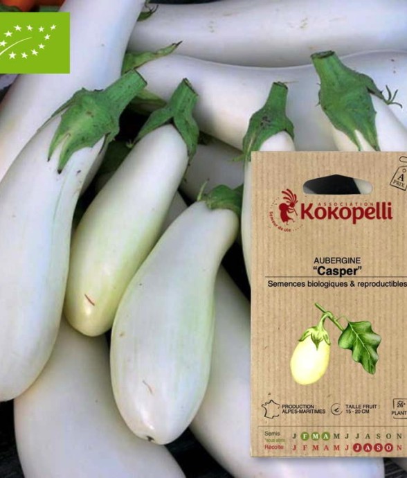 Graines bio à semer -...