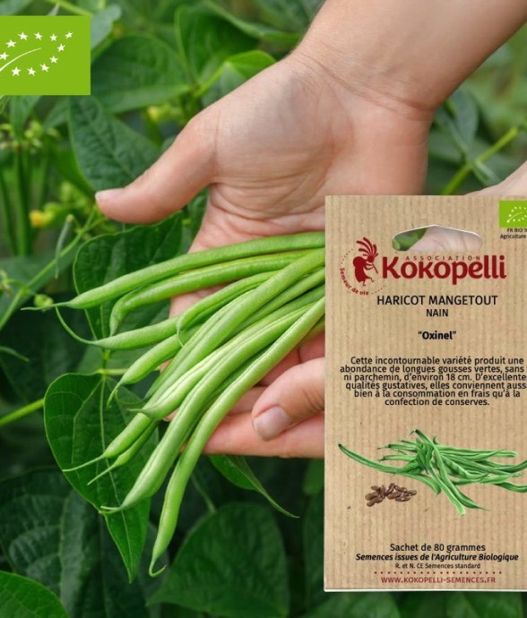 Graines bio à semer -...