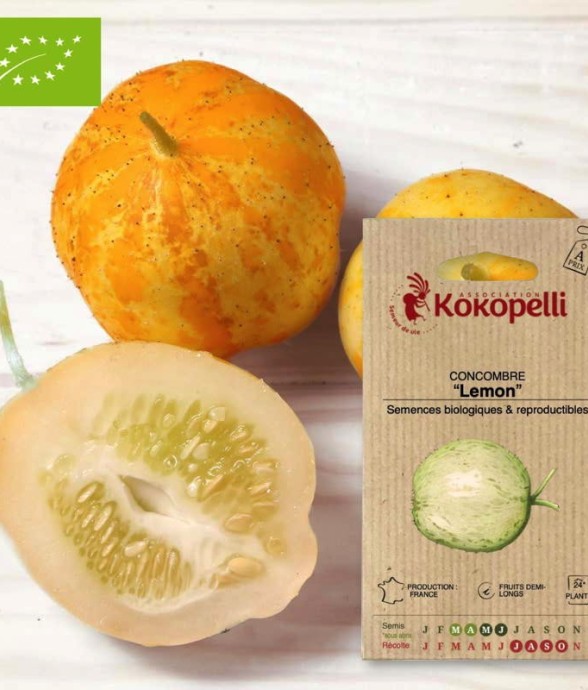 Graines bio à semer -...