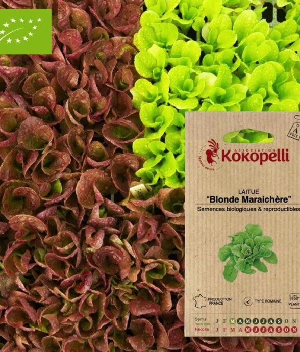 Graines bio à semer -...