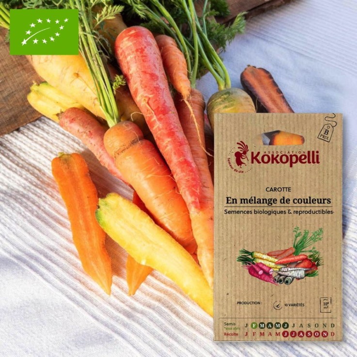 Graines bio à semer - Carotte en mélange de couleurs