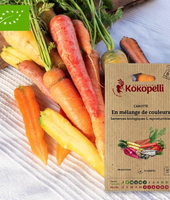 Graines bio à semer -...