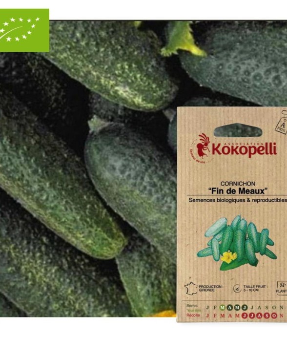 Graines bio à semer -...