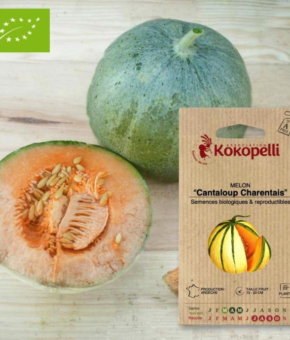 Graines bio à semer - Melon...