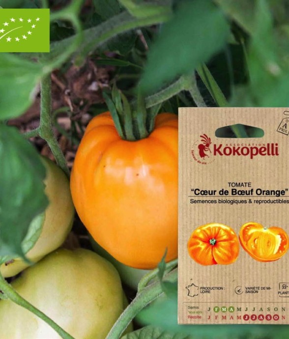 Graines bio à semer -...