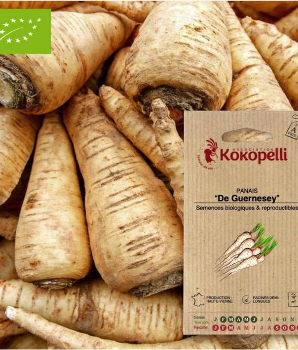 Graines bio à semer -...