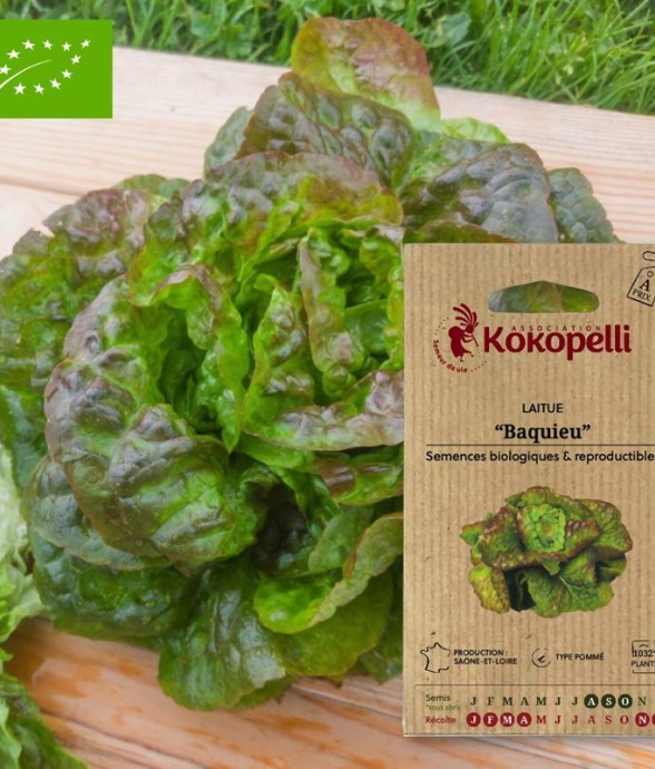 Graines bio à semer -...