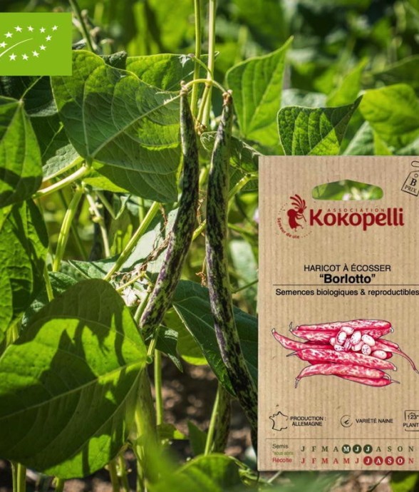 Graines bio à semer -...