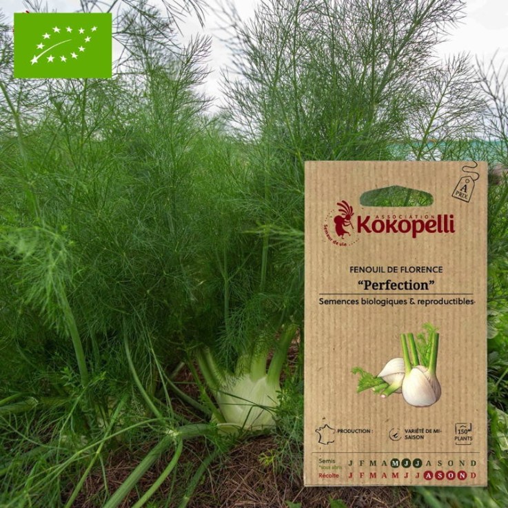Graines bio à semer - Fenouil de Florence Perfection