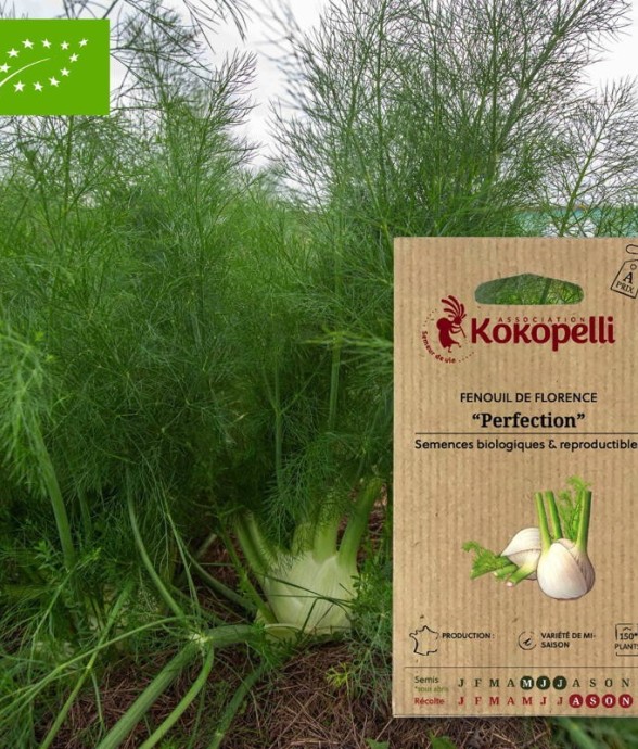 Graines bio à semer -...