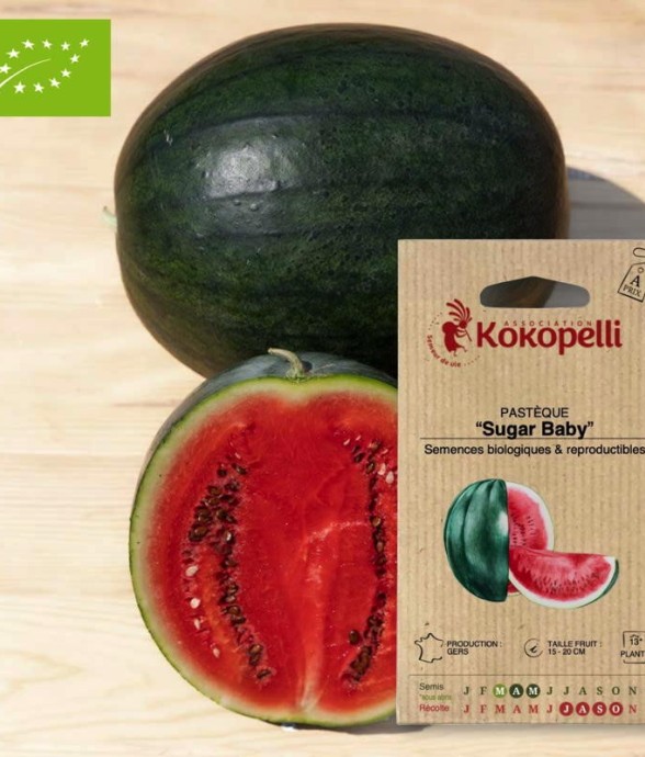 Graines bio à semer -...