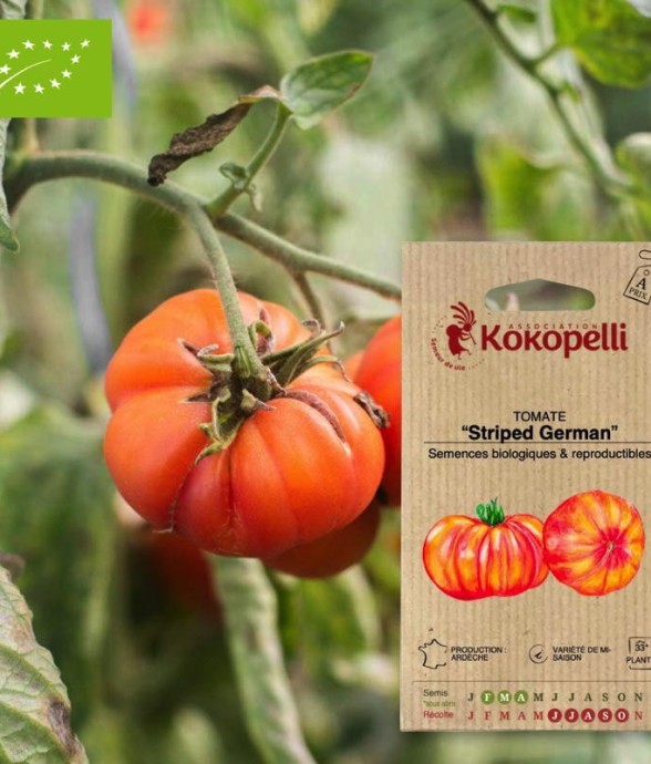 Graines bio à semer -...