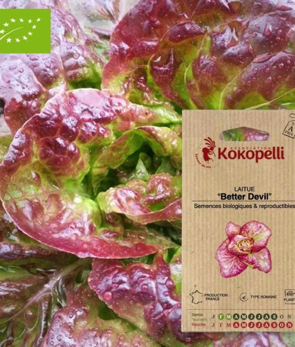 Graines bio à semer -...