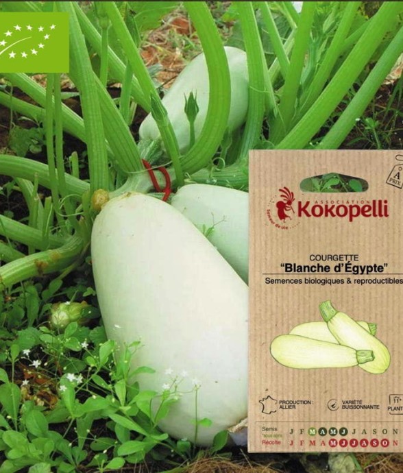 Graines bio à semer -...