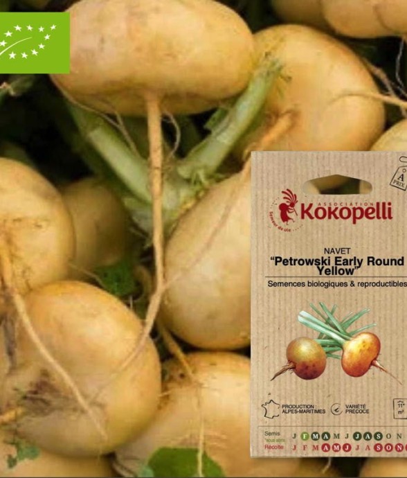 Graines bio à semer - Navet...