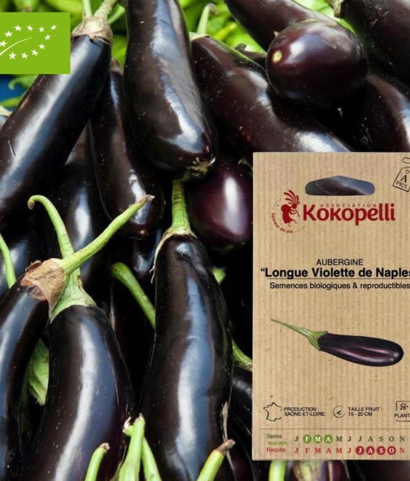 Graines bio à semer -...