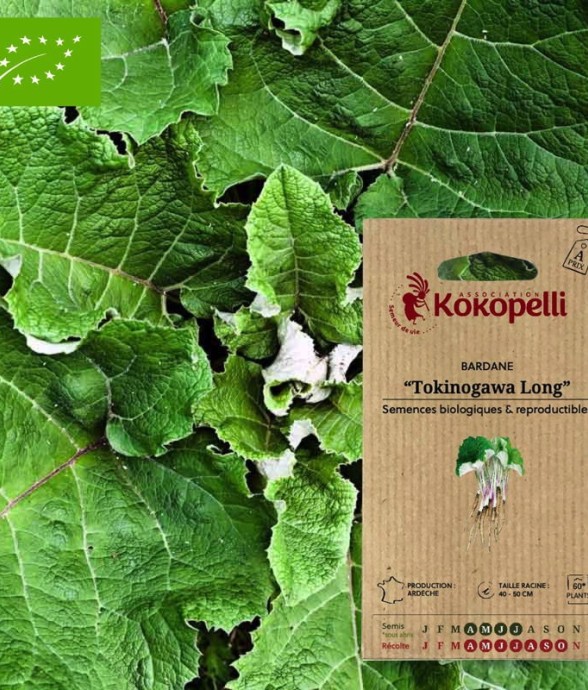 Graines bio à semer -...