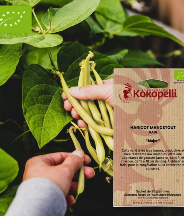 Graines bio à semer -...