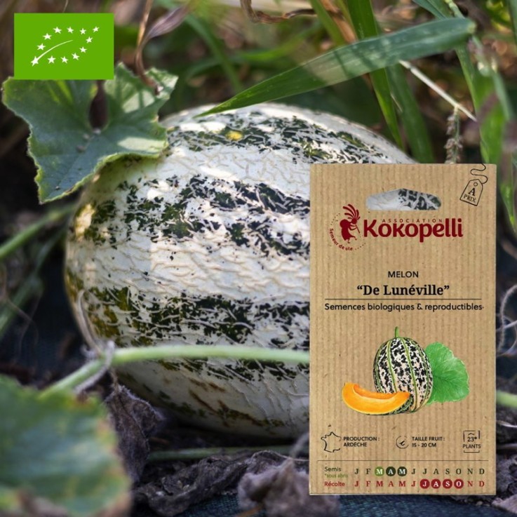 Graines bio à semer - Melon De Lunéville