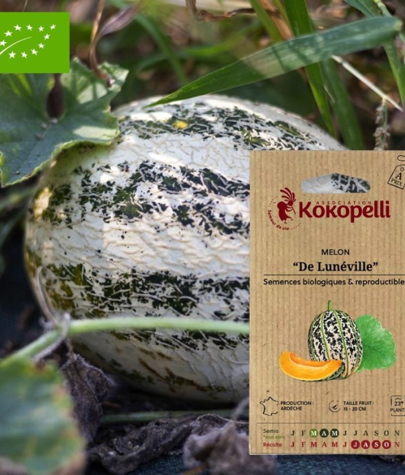 Graines bio à semer - Melon...